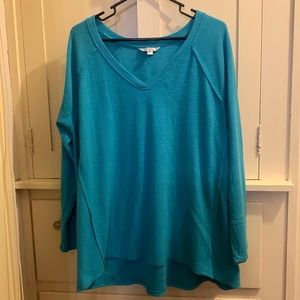 WildFox Blue Long Sleeved Top Size XL